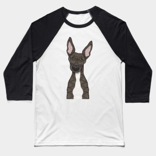 Cute brindle and white greyhound Baseball T-Shirt